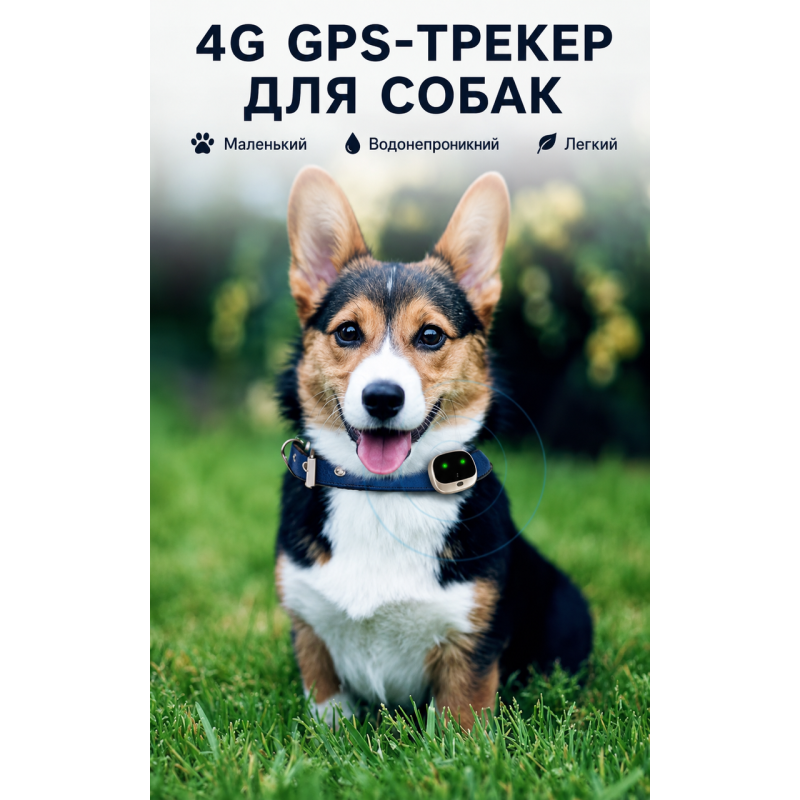 Трекер для хатніх тварин GPS V 43
